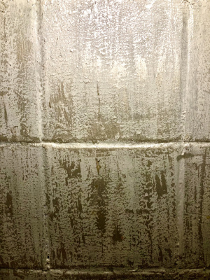 12-29-2023-surface02