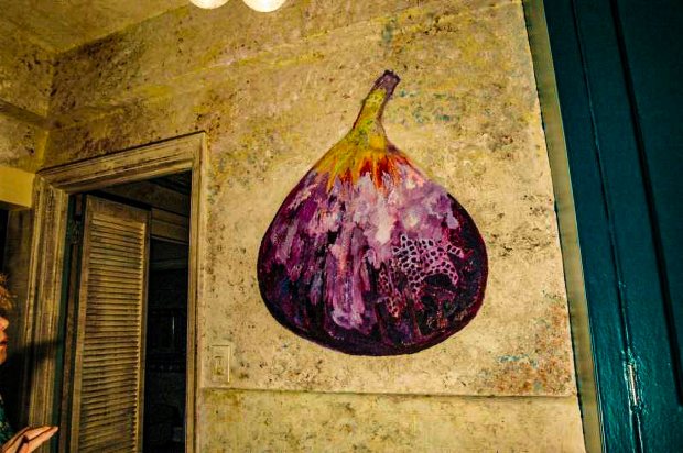 Fig on Texture