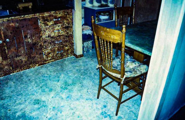 Leopard Kitchen Cabinets