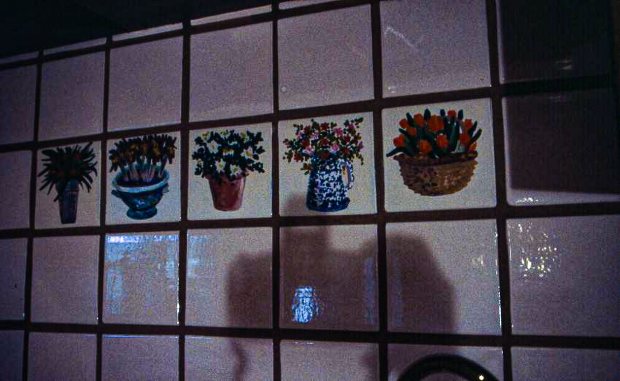 Hand Painted Tiles